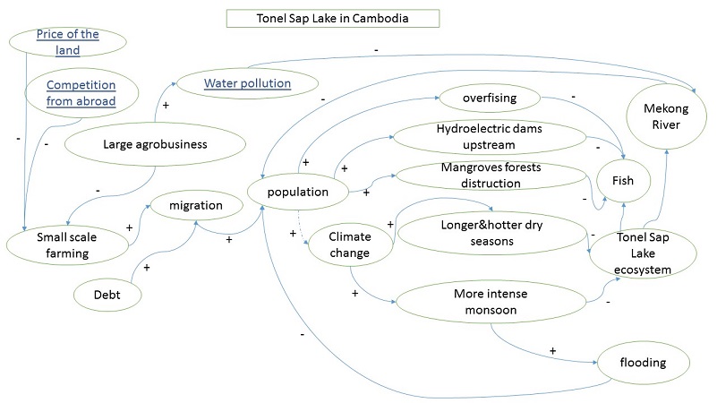 Causal loop diagram